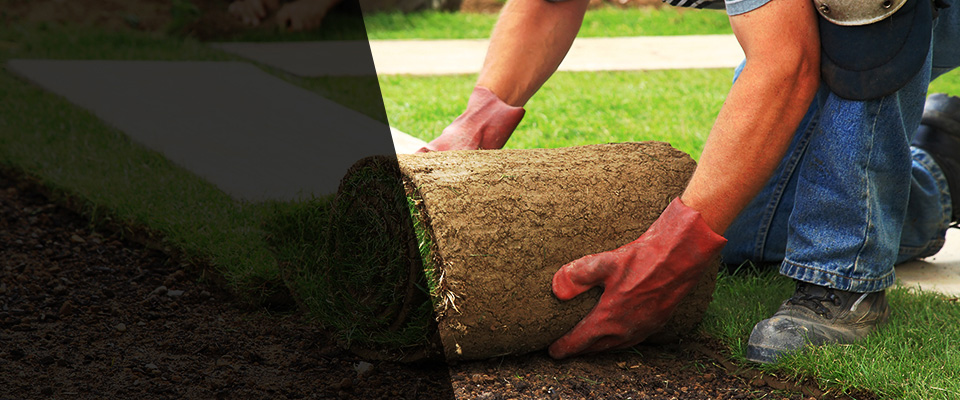 Little Elm Landscapers